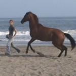 Rode On The Beach Today!